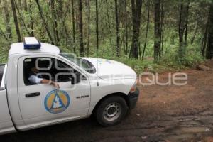 BUSQUEDA DE DESAPARECIDOS