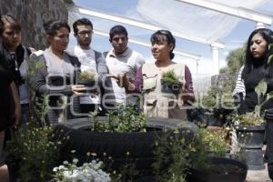 TALLER "AGRICULTURA SUSTENTABLE"