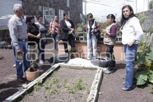 TALLER AGRICULTURA SUSTENTABLE