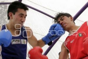 BOX. TORNEO DE BARRIOS