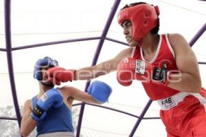 BOX. TORNEO DE BARRIOS
