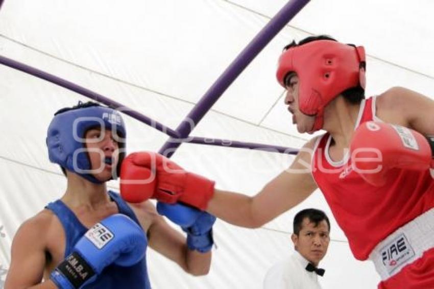 BOX. TORNEO DE BARRIOS