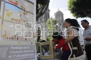 CONSULTA . REFORMA ENERGÉTICA