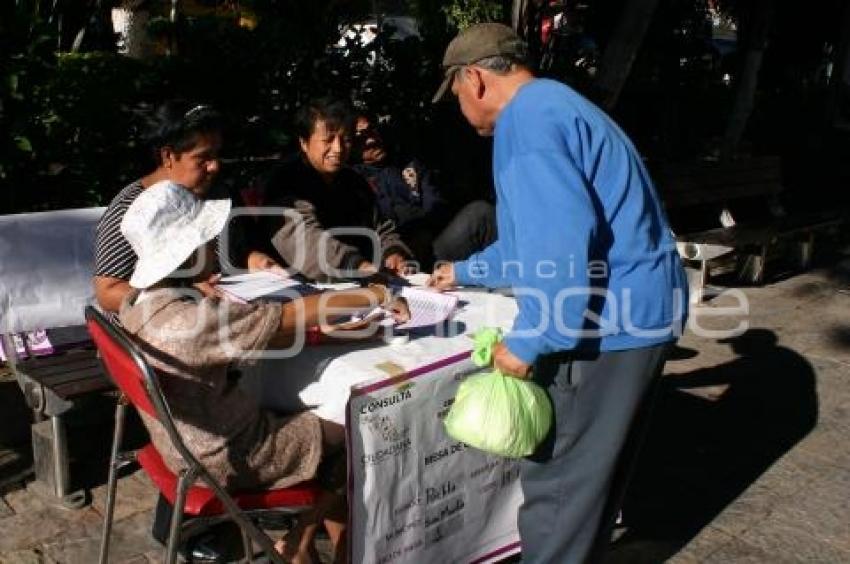 CONSULTA . REFORMA ENERGÉTICA