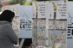 CONSULTA . REFORMA ENERGÉTICA