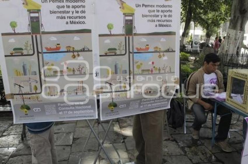 CONSULTA . REFORMA ENERGÉTICA