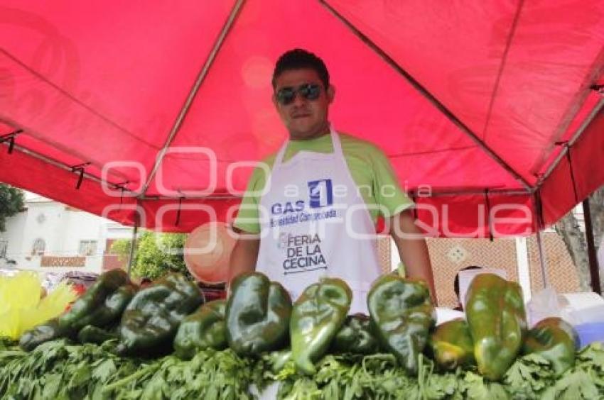 FERIA DEL CHILE EN NOGADA