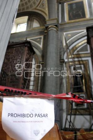 FUMIGACIÓN CATEDRAL