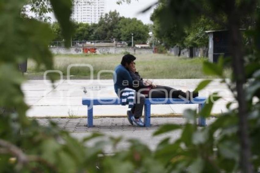PARQUES Y JARDINES
