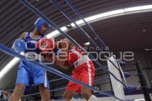 TORNEO DE BOXEO LOS BARRIOS
