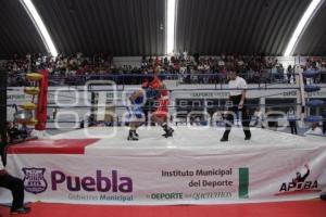 TORNEO DE BOXEO LOS BARRIOS