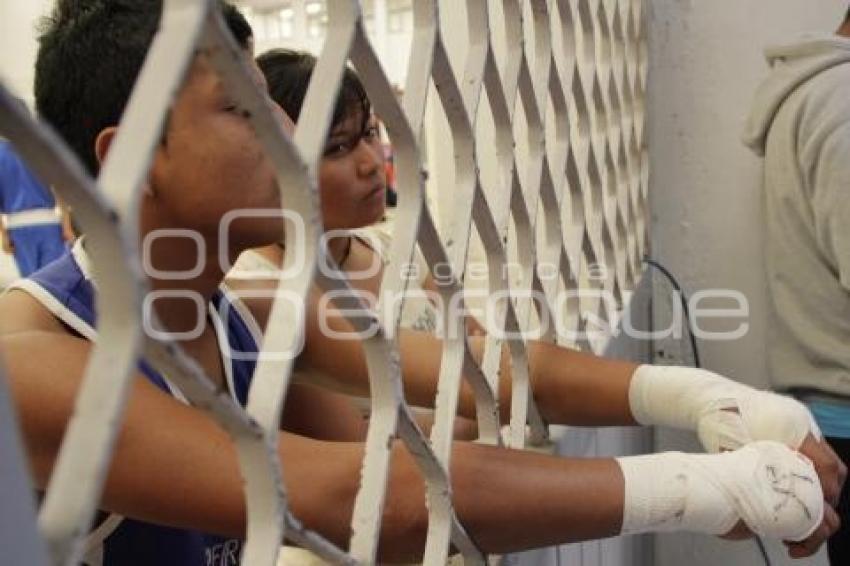 TORNEO DE BOXEO LOS BARRIOS