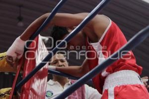 TORNEO DE BOXEO LOS BARRIOS