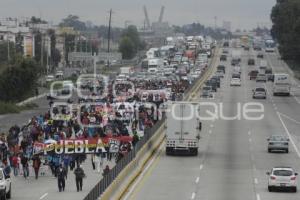 MANIFESTACIÓN DE MAESTROS