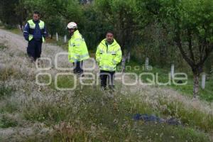 EJECUTADO EN AUTOPISTA