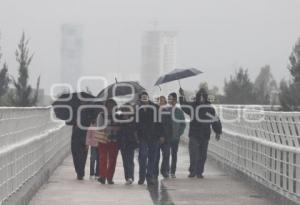 LLUVIAS. TORMENTA TROPICAL INGRID