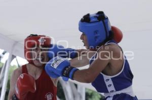 FINAL DEL TORNEO DE BOX DE BARRIOS