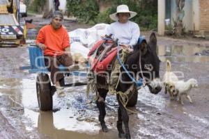 MUJERES EN CARRETA