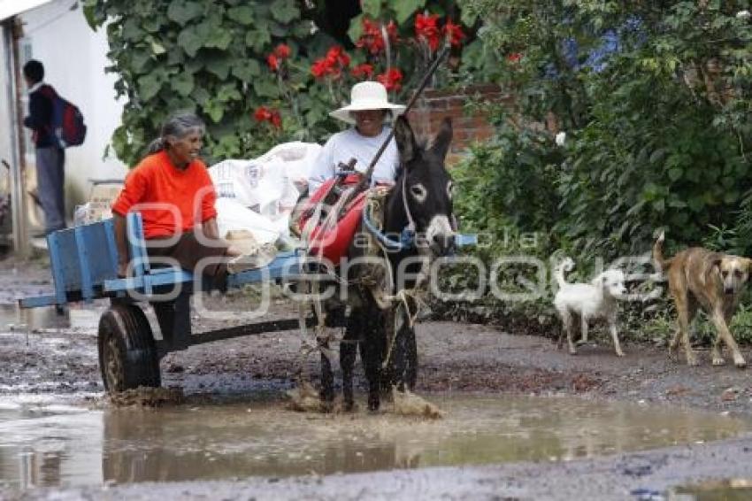 MUJERES EN CARRETA