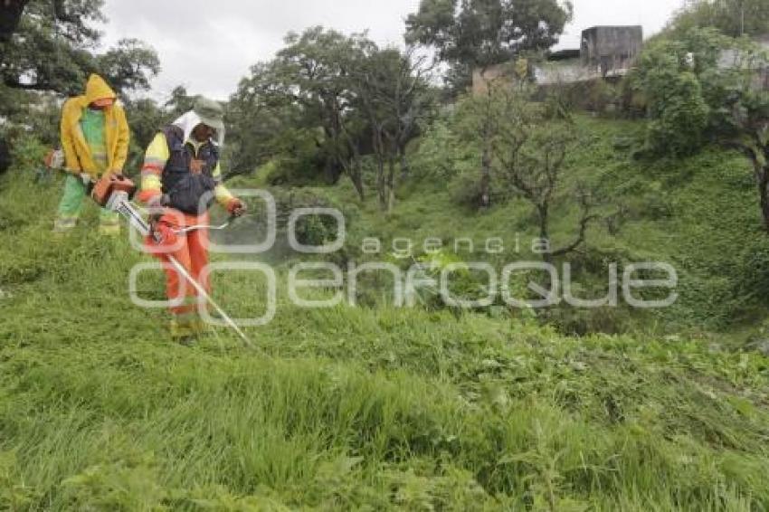 LIMPIEZA DE BARRANCA
