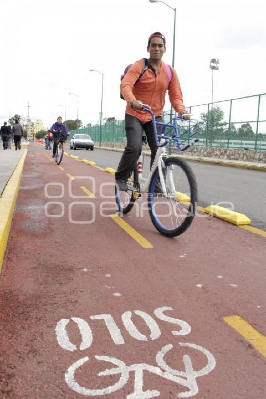 BUAP. LOBOBICI