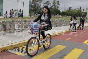 BUAP. LOBOBICI