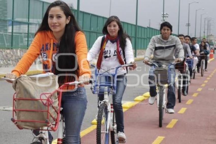 BUAP. LOBOBICI