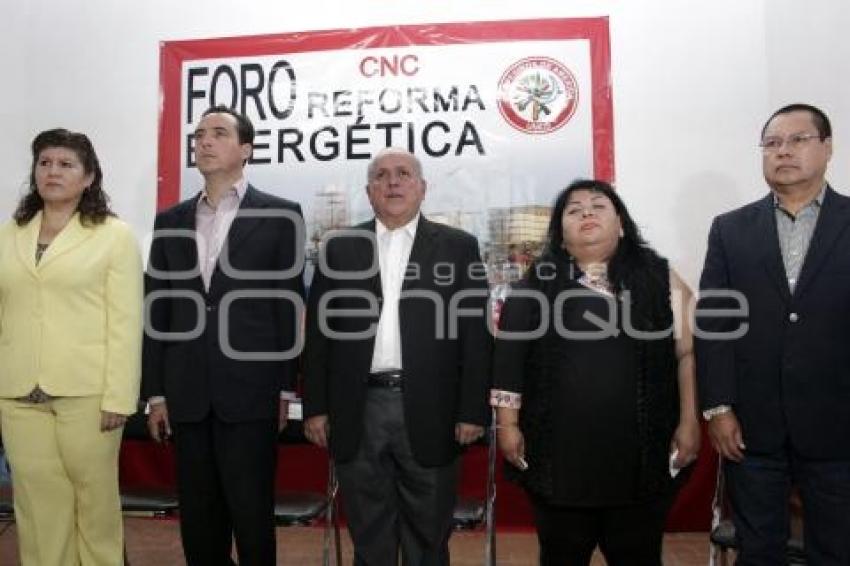 CNC. FORO REFORMA ENERGÉTICA