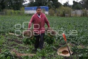 CAMPESINOS EN TEXMELUCAN