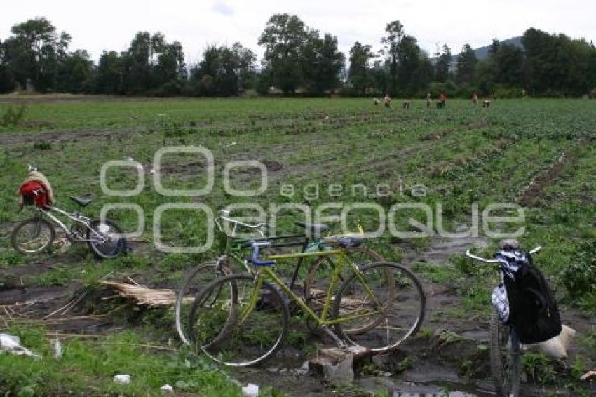 CAMPESINOS EN TEXMELUCAN