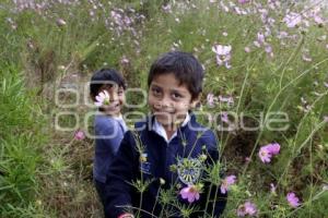 VIDA COTIDIANA. NIÑOS