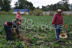 CAMPESINOS EN TEXMELUCAN