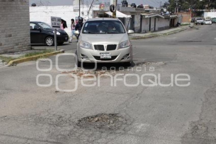 BACHES