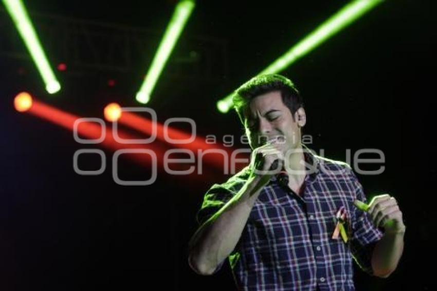 FESTIVAL DE LAS ESTRELLAS . CARLOS RIVERA