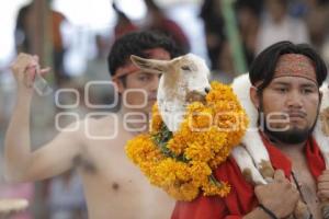 FESTIVAL MOLE DE CADERAS