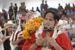 FESTIVAL MOLE DE CADERAS