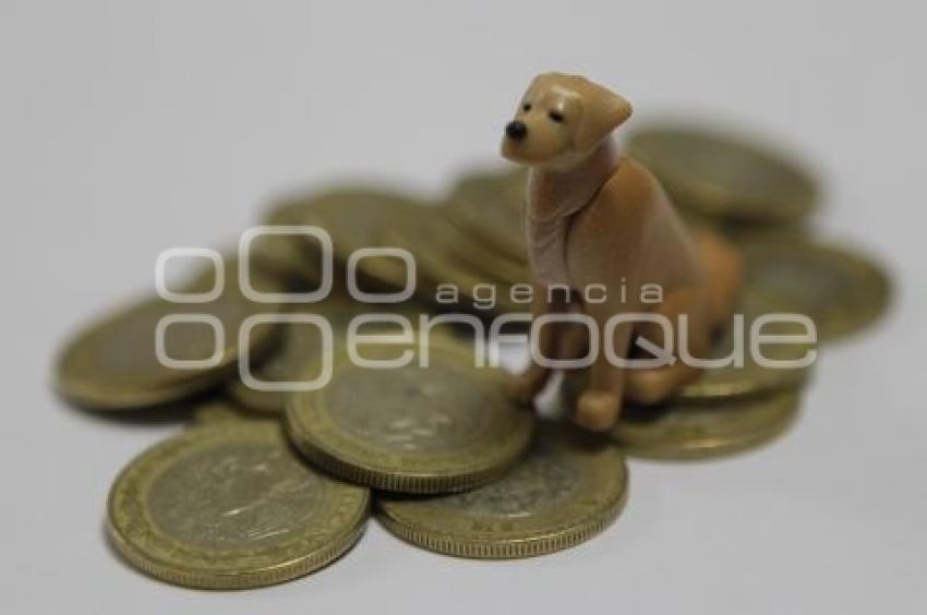 REFORMA FISCAL . MASCOTAS