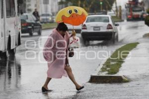 LLUVIAS. RAYMOND