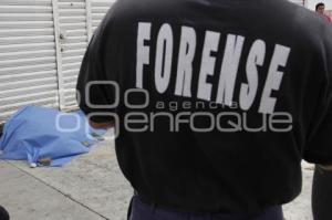 MUERE INDIGENTE EN 17 SUR