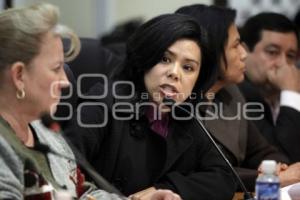 COMISIÓN DE GOBERNACIÓN Y EQUIDAD Y GÉNERO