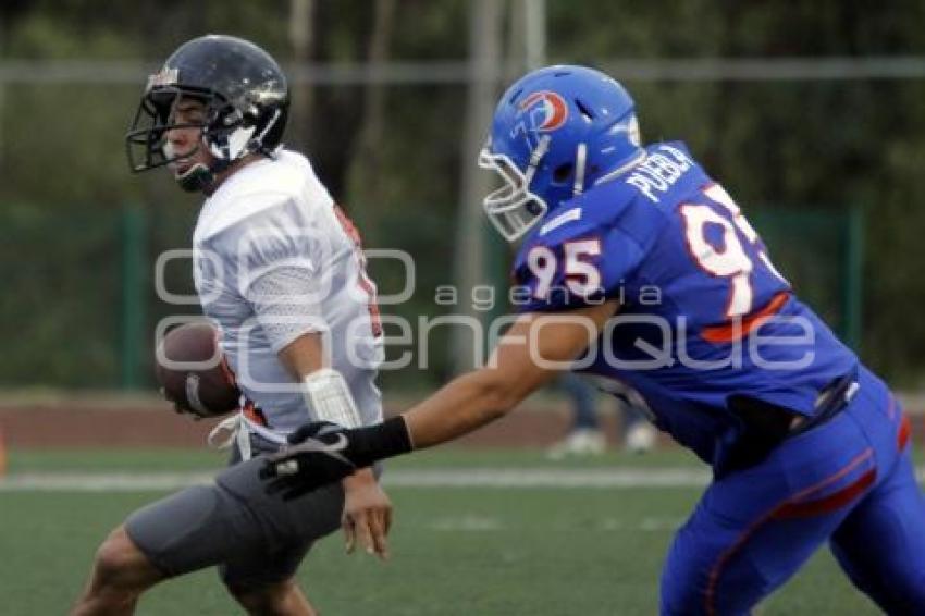 BORREGOS PUEBLA VS UNIVERSIDAD ANAHUAC