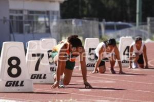 CAMPEONATO NACIONAL MULTIDEPORTIVO DE PARÁLISIS