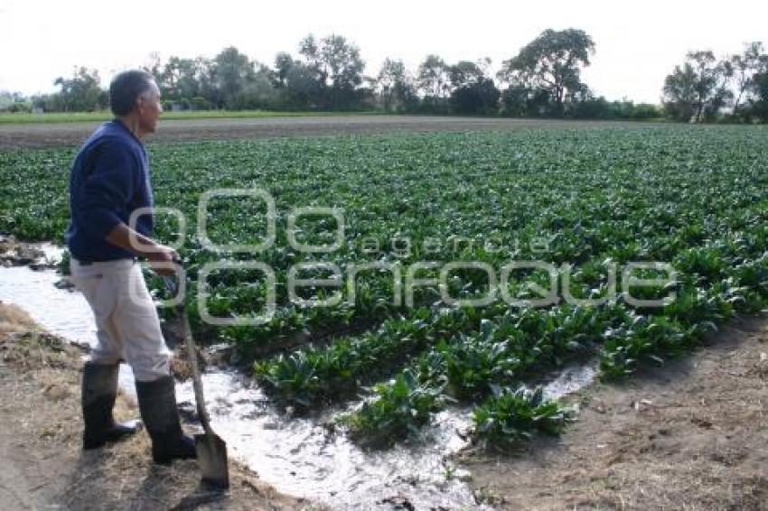 CAMPESINO EN TEXMELUCAN