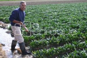 CAMPESINO EN TEXMELUCAN