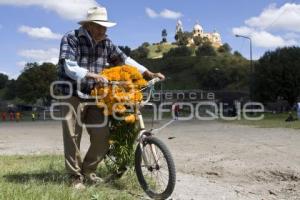 CORTE FLOR DE MUERTO