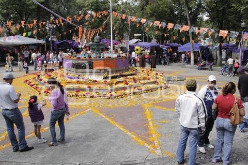 JARDÍN DE ANALCO