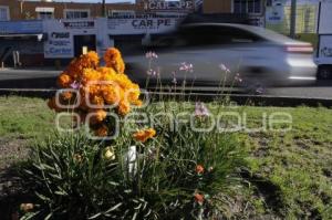 DÍA DE LOS ACCIDENTADOS