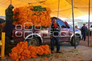 VENTA DE FLOR EN TEXMELUCAN