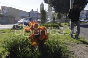 DÍA DE LOS ACCIDENTADOS