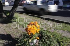 DÍA DE LOS ACCIDENTADOS